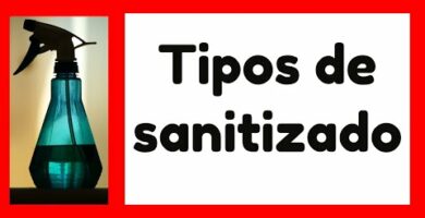 Saneamientos San Antonio en Cuenca - Expertos en Limpieza y Desinfección